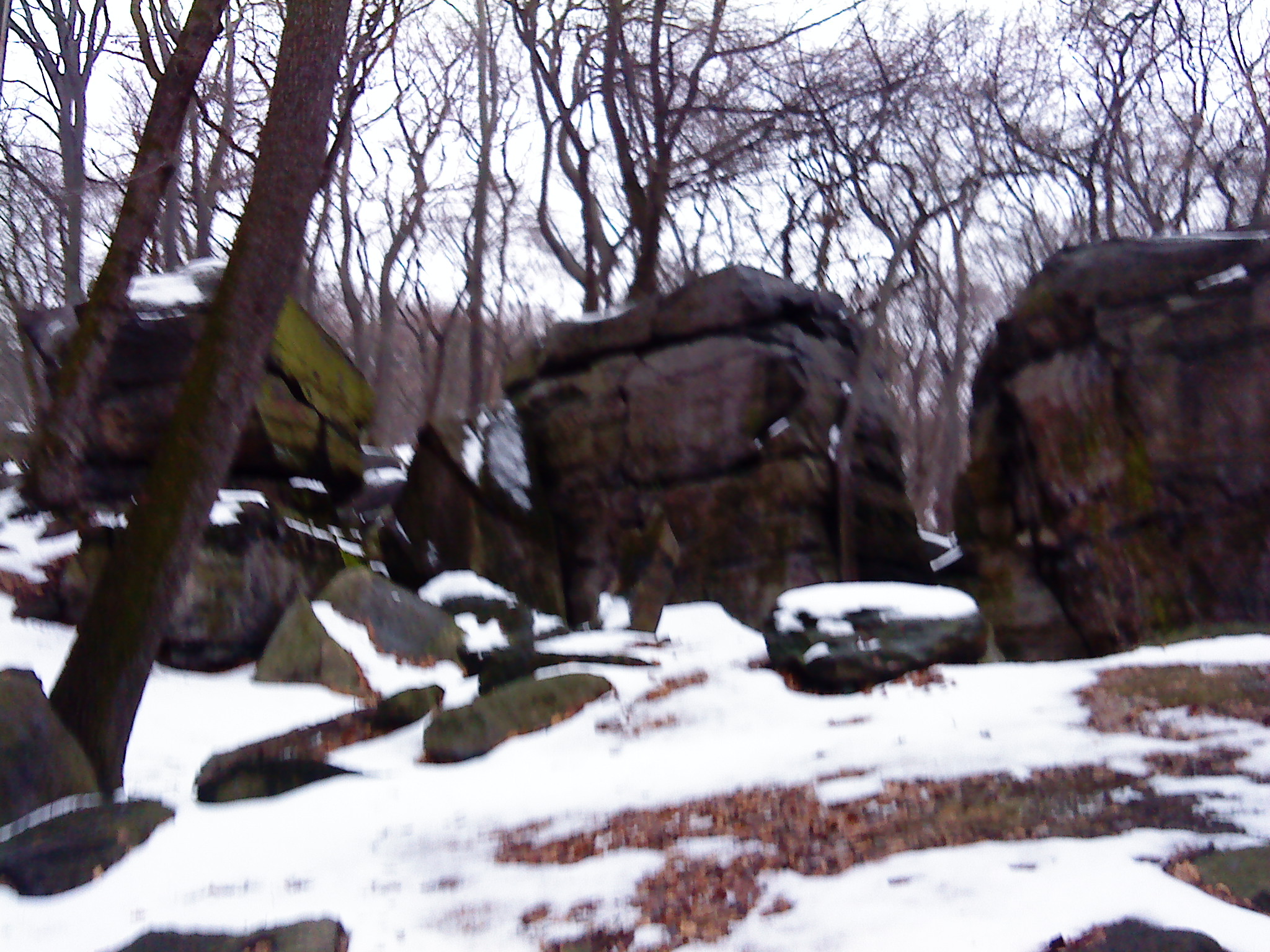 DSC00037.JPG