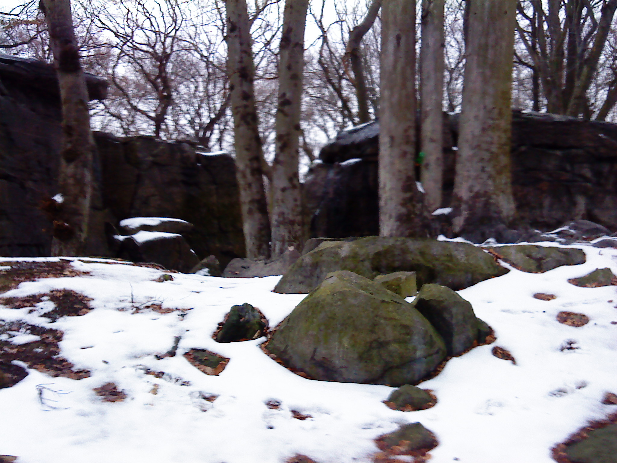 DSC00039.JPG