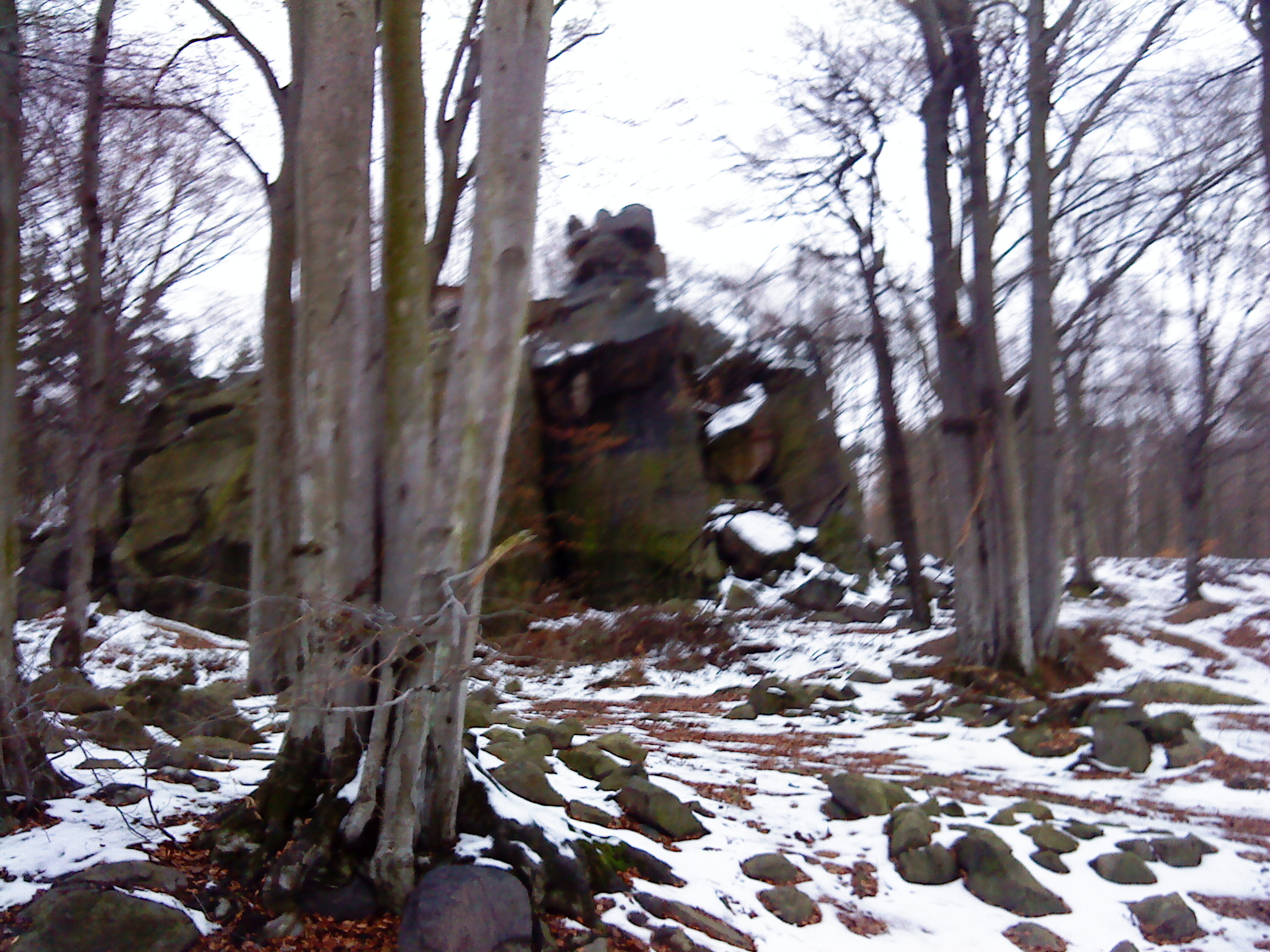 DSC00040.JPG