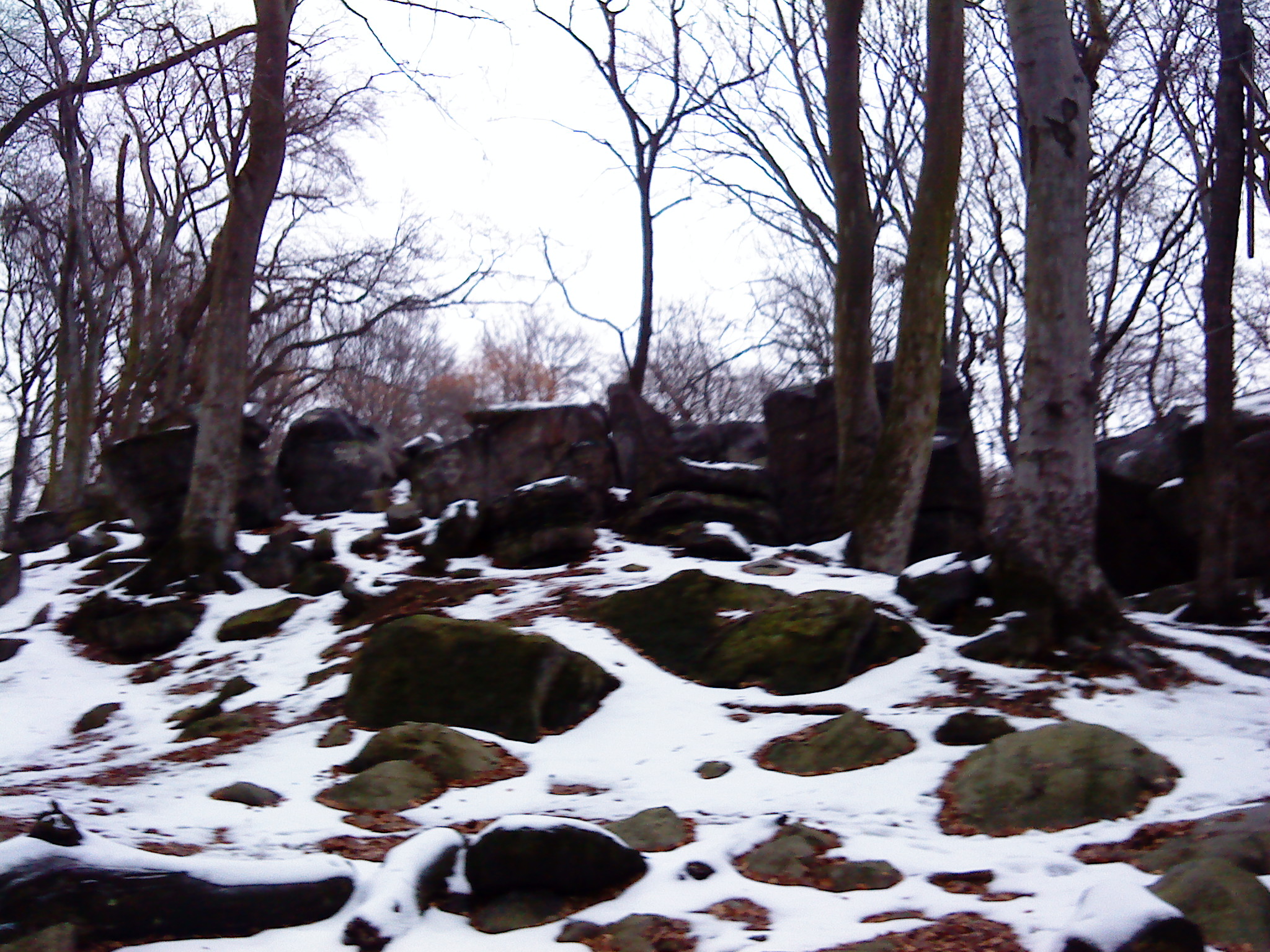 DSC00041.JPG